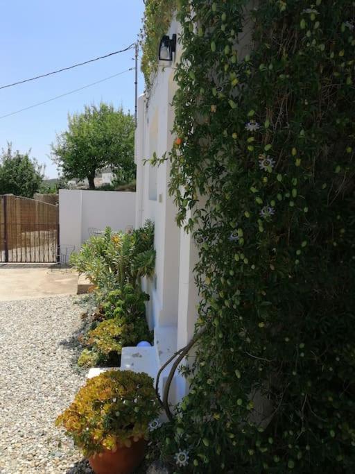 Casa Jardin. Vivienda Rural En Zona Tranquila. Villa Lucainena de las Torres Luaran gambar