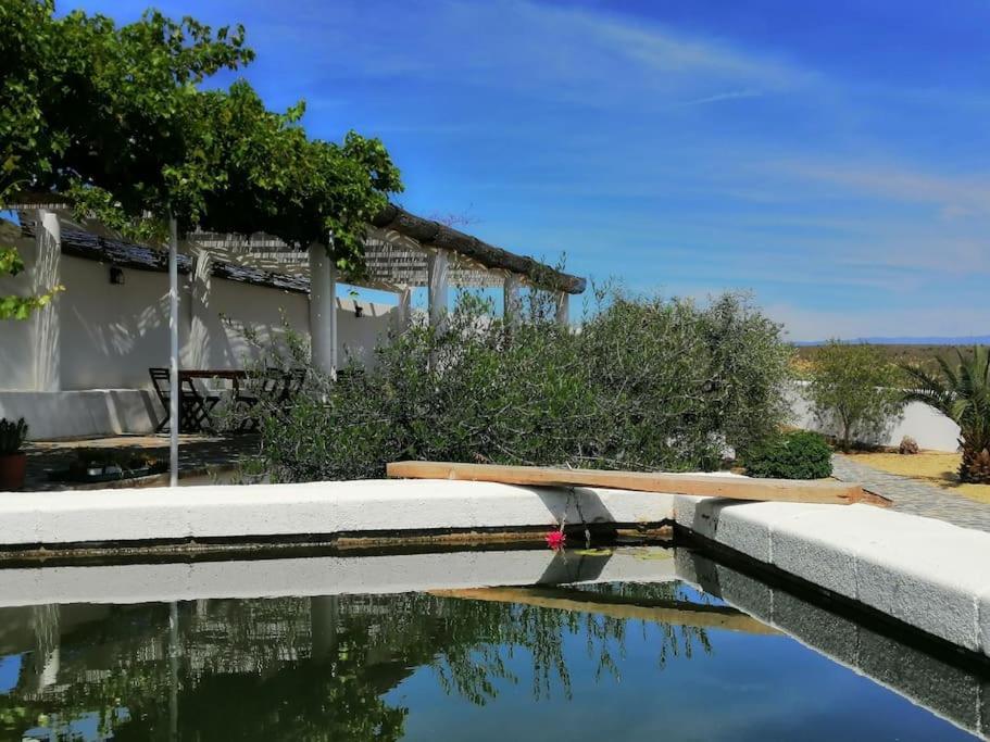 Casa Jardin. Vivienda Rural En Zona Tranquila. Villa Lucainena de las Torres Luaran gambar