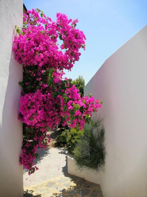 Casa Jardin. Vivienda Rural En Zona Tranquila. Villa Lucainena de las Torres Luaran gambar