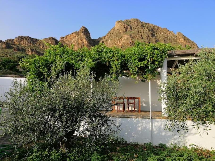 Casa Jardin. Vivienda Rural En Zona Tranquila. Villa Lucainena de las Torres Luaran gambar