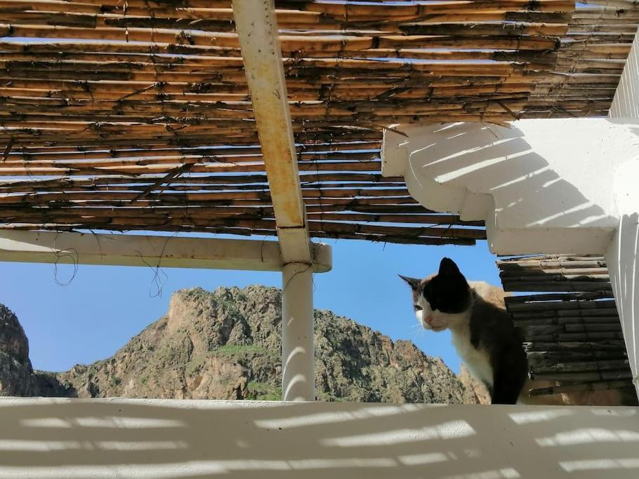 Casa Jardin. Vivienda Rural En Zona Tranquila. Villa Lucainena de las Torres Luaran gambar