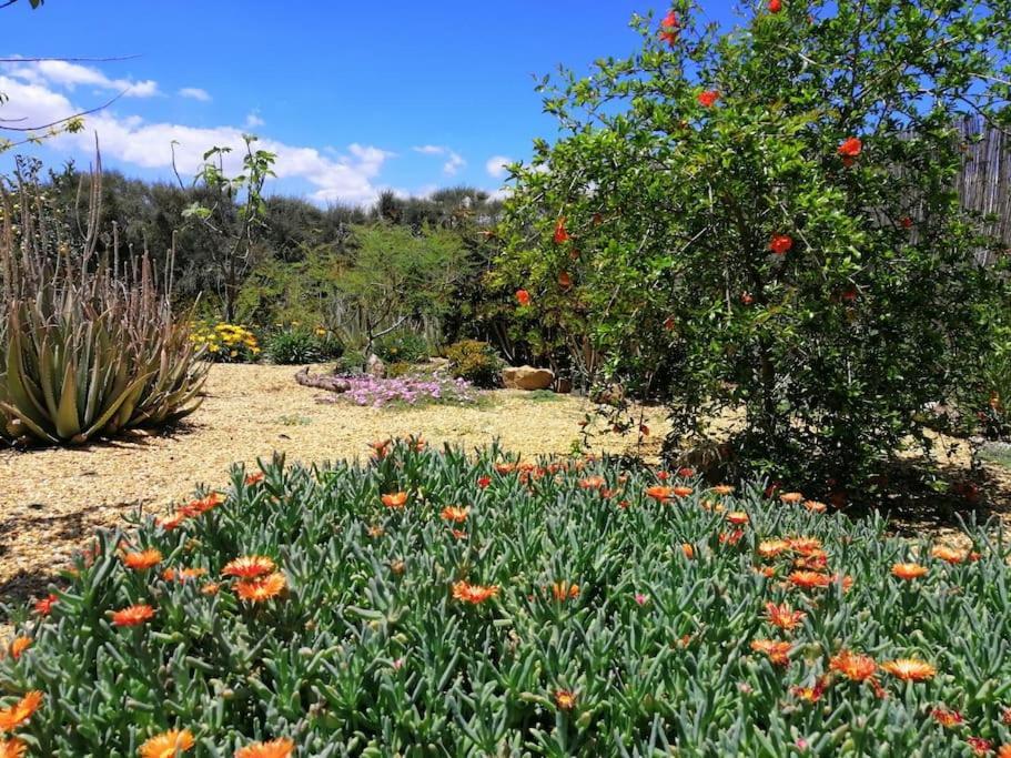 Casa Jardin. Vivienda Rural En Zona Tranquila. Villa Lucainena de las Torres Luaran gambar